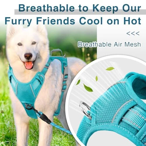 Dog Harness No Pull with ID Tag Pocket - Heavy Large(Chest:27-32") Ocean Blue Dog Harness No Pull with ID Tag Pocket - Heavy Large(Chest:27-32") Ocean Blue