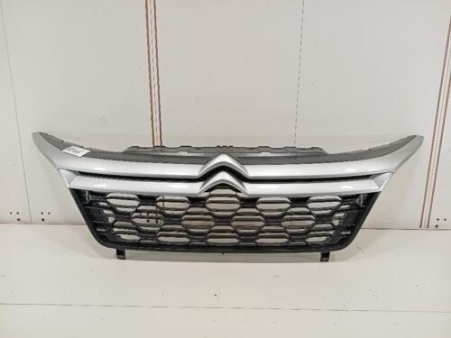 Grille Pare-Chocs Pour CITROEN Jumper 3° Série 1315804070 DW10FUE ( Ahm ) (06>)