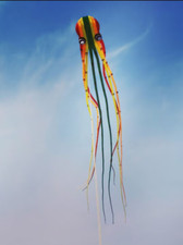 new 3D eyes 15m Colou 1 Line Stunt Parafoil Octopus POWER Sport Kite outdoor toy