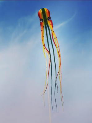 new 3D eyes 15m Colou 1 Line Stunt Parafoil Octopus POWER Sport Kite outdoor toy