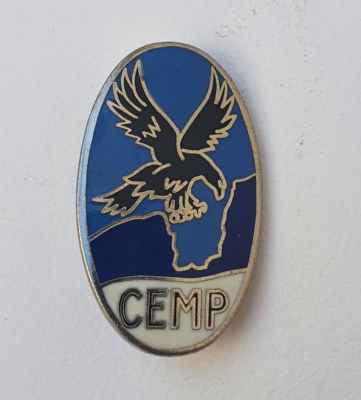 INSIGNE MILITAIRE 30 èm CHASSEUR ALPIN OU A PIEDS ORIGINAL - Insignes - Pucelles - Fourragères (8673447