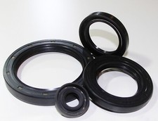 Select Size ID 5 - 11mm TC Double Lip Rubber Rotary Shaft Oil Seal with Spring