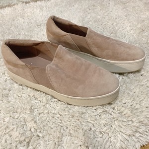 vince warren hydrangea