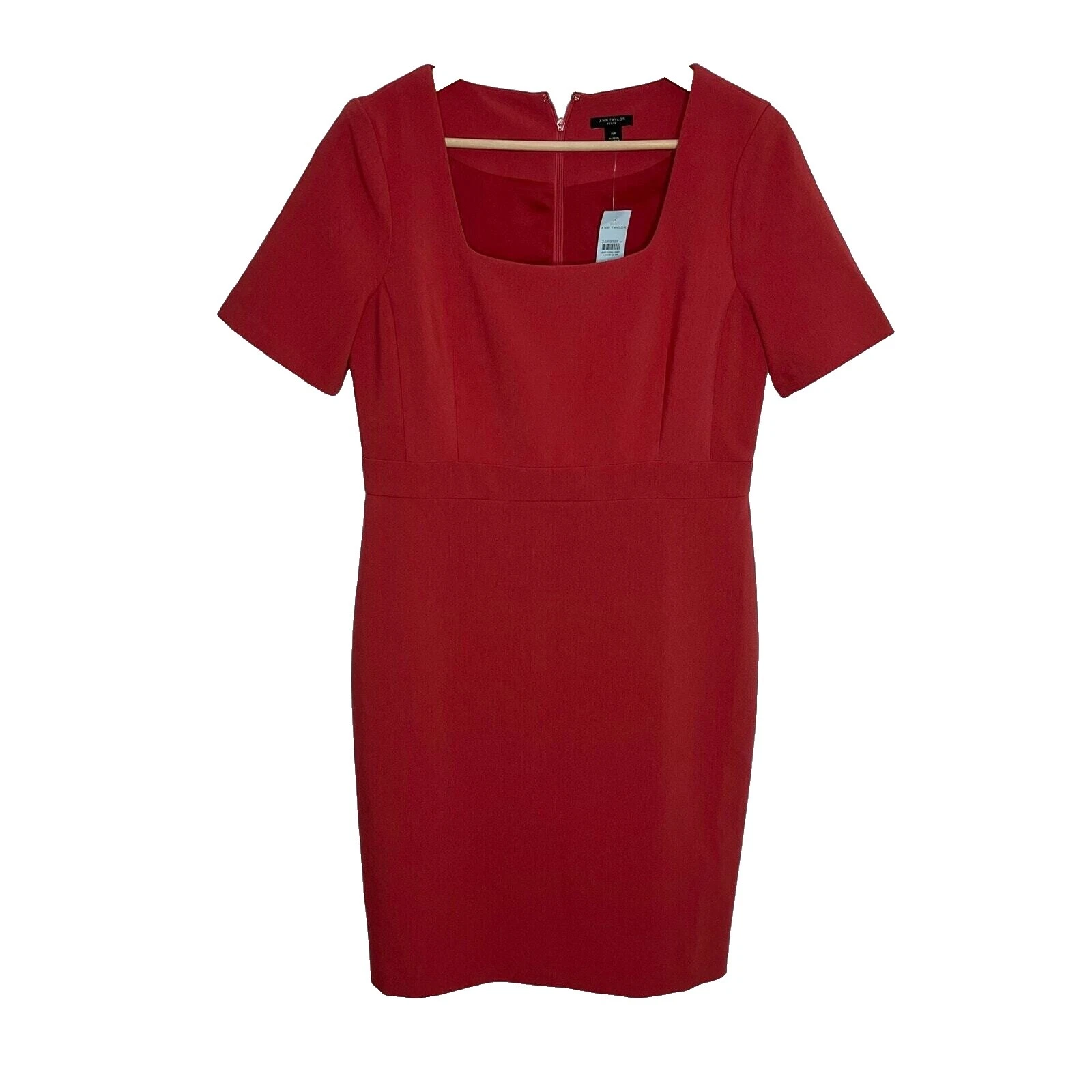 Taylor Petites Polyester Dresses for Women