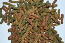 ALIMENTO VEGETALE PER TARTARUGHE TERRESTRI  SENZA PROTEINE ANIMALI KG 2,500