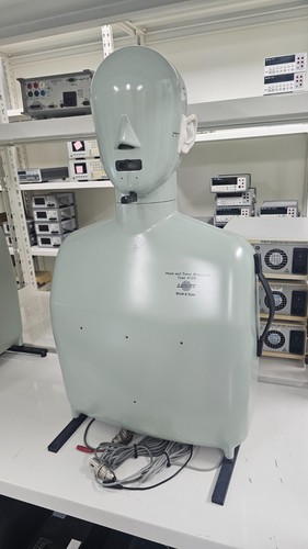 Bruel & Kjaer HATS 4128C - HEAD AND TORSO SIMULATOR - Picture 4 of 6