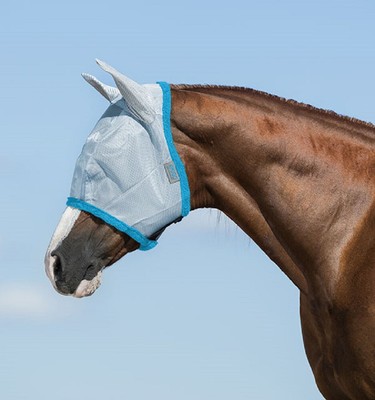 Amigo  FlyMask