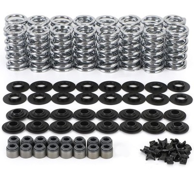 660'' Dual Valve Spring Kit Titanium Fit For LS 4.8 5.3 5.7 6.0 6.2 LS1 SK001S