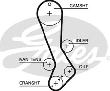 Courroie de distribution Lexus IS