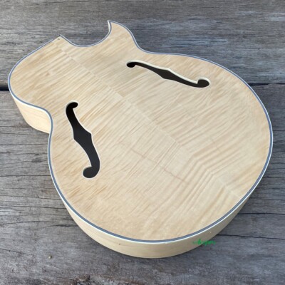 ACEPRO Full Hollow Body Single Cut Flame Maple Top F Holes DIY Electric Guitar