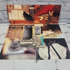 Vintage Oversized Kitty Cat Postcards 7pc Lot #2