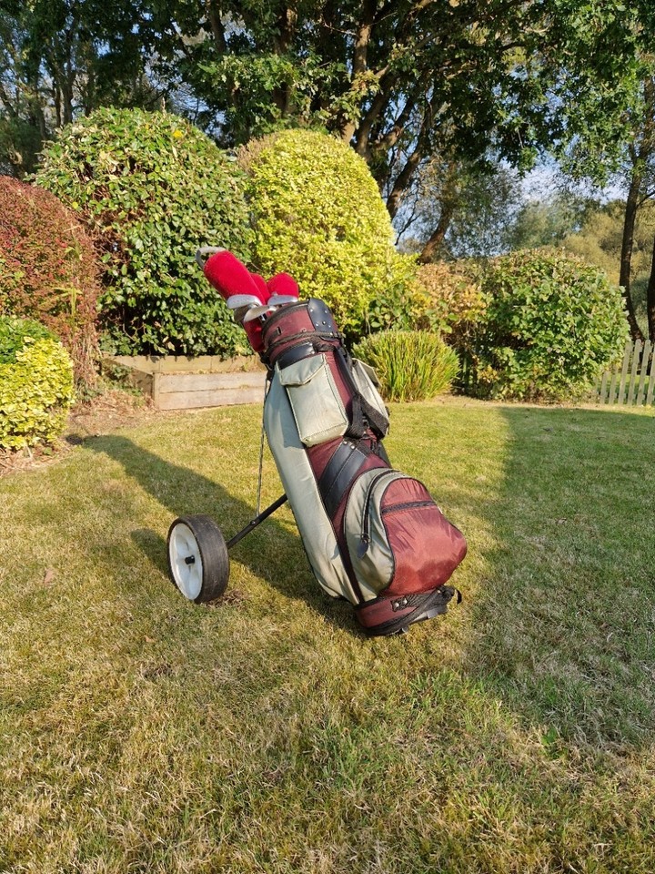 Golf Clubs (Full Set) including Controller Irons and Drivers eBay