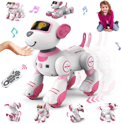 Ferngesteuerter Roboter Hundespielzeug für Kinder - Interaktives Touch & Follow 17 Funktionen 