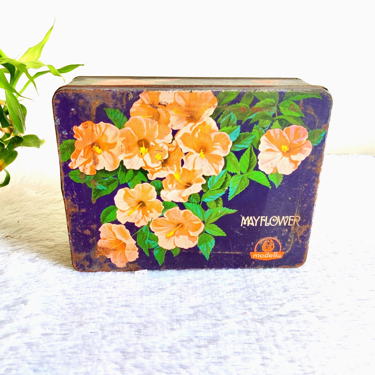 1940s Vintage Flower Graphics Modella May Flower Advertising Rare