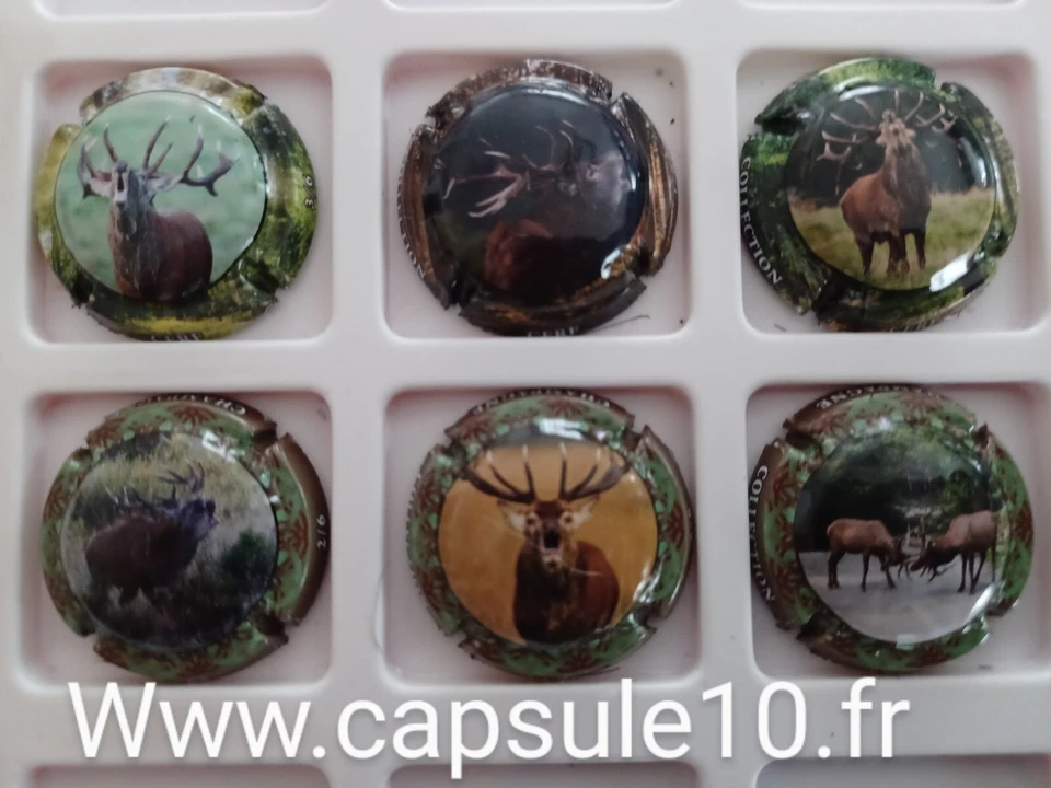 NEWS CAPSULES DE CHAMPAGNE chasse 2023 les cerfs générique