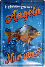 Blechschild Schild 20x30 cm - gibt Wichtigeren als Angeln nur was Fisch Angel