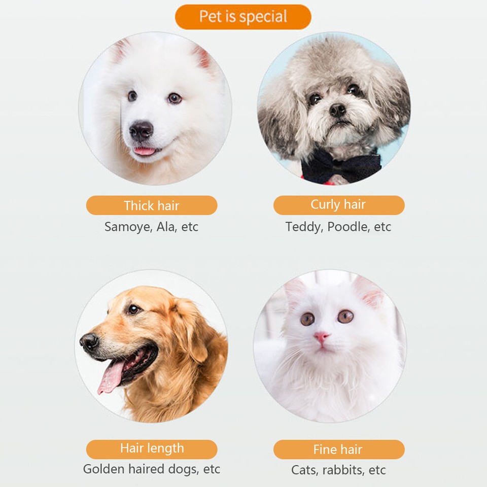 A Dog Clipper Professional Hair Cutting Machine Electric Clipper Pet
