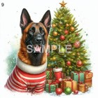 Bild 9 von 13