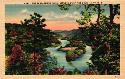 Vintage Postcard- TUCKASEIGEE RIVER, SYLVA - BRYSON CITY, N.C.