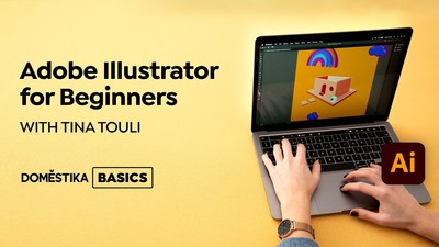 Adobe Illustrator für Anfänger von Tina Touli - 45 Video-Lektionen - NUR DVD