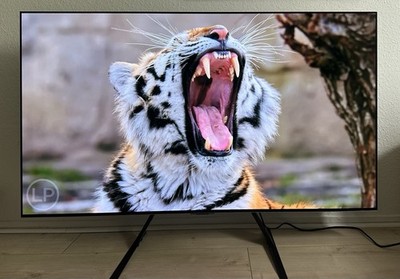 LG OLED55G29LA 55 Zoll OLED evo G2 4K Smart TV Fernseher HDR