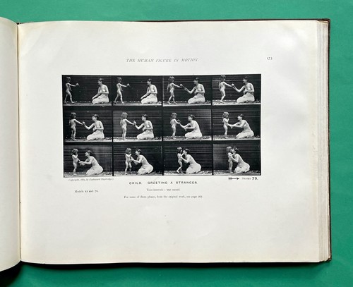 1901 - The Human Figure in Motion - EADWEARD MUYBRIDGE - Photography - RARE 1st - Picture 18 of 24