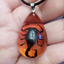 Natural rare black Scorpion Insect Inclusion Amber Gemstone Pendant Necklace 