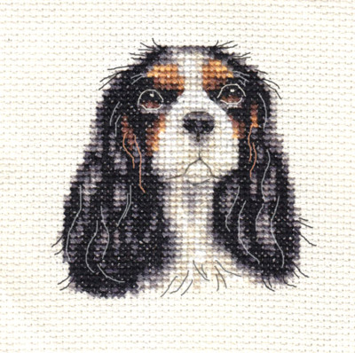 TRI CAVALIER KING CHARLES SPANIEL  Dog counted cross stitch kit Fido Studio