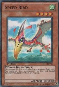 Speed Bird - YS11-EN008 - Common - 1st Edition x3 - Lightly Played