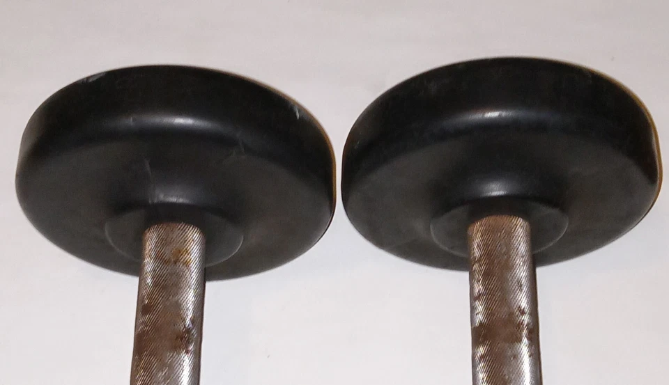 (2) 20 lb raro parachoques comercial mancuerna pesos 40 lb en total Foto 4 de 4