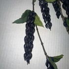 Picture 2 of 3