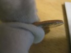 Picture 3 of 3