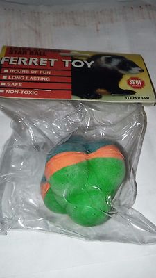 ferret and ball toy