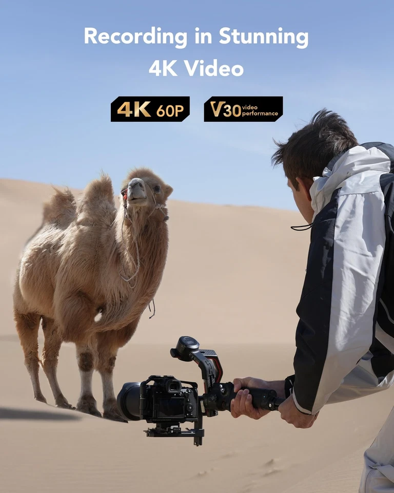 Lexar 256GB SD Card SILVER, Up to 205MB/s Read, 140MB/s Write, SDXC UHS-I Memory - Image 4 of 4