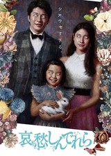 DVD de película japonesa Sorrow Shinderera