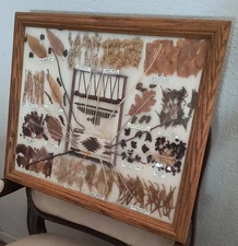 Navajo Dye Chart Christine Lewis 16 Plants 22x18