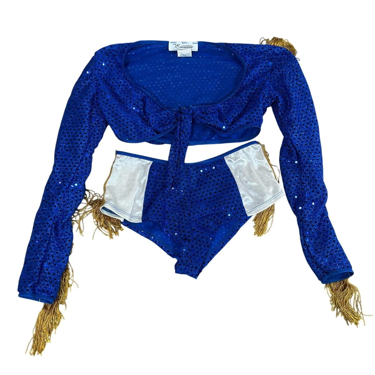 blue burlesque dress 1920's Art Deco fancy dress costume leotard  Talulah Blue Costumes