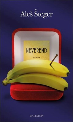 Neverend | Ales Steger | Roman | Buch | 462 S. | Deutsch | 2022 | Wallstein