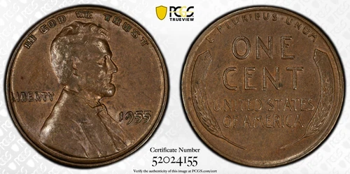 1955 PCGS & CAC AU55 Doubled Die Obverse Lincoln Wheat Cent Penny