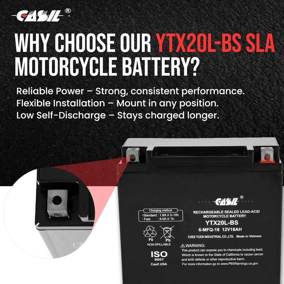 YTX20L-BS Motorcycle Battery Replacement for MOTO GUZZI 750CC Nevada Foto 4 de 4