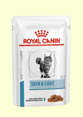 Royal Canin Skin & Coat  Feuchtfutter 48x85g
