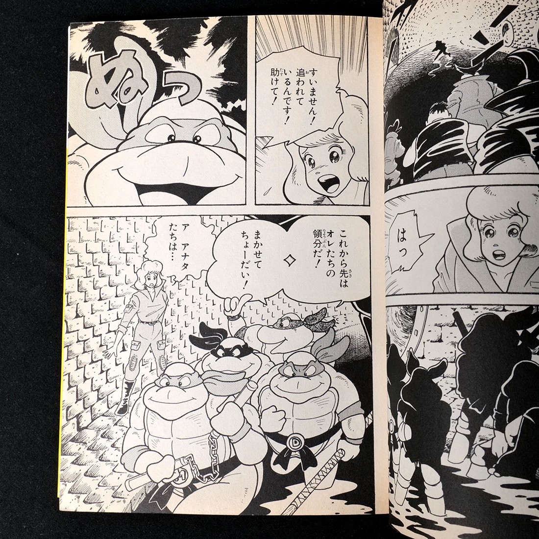 Teenage Mutant Ninja Turtles Japan Manga vol.1-5 Set w/ Sticker