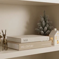 Aesthetic Decorative Books - Set of 2 Stylish Boxes Enhance Your Coffee Table, B