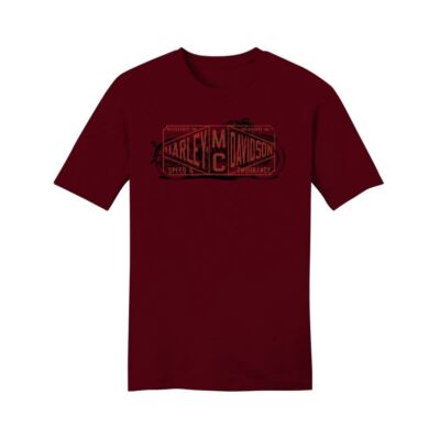 HARLEY-DAVIDSON T-Shirt Herren Road Warrior