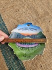 Great Smoky Mountains National Park THE LOOP Souvenir Mini Plate Handpainted — photo 6