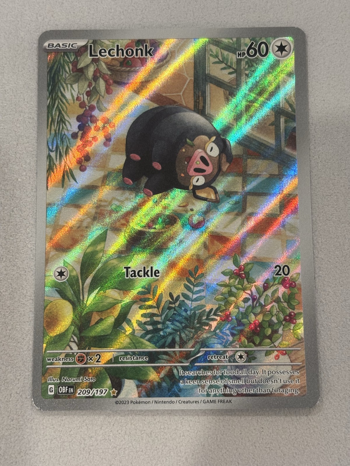 Lechonk - Pokemon Obsidian Flames #209 NM