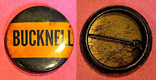 VINTAGE 1950s Bucknell University Bisons Football Button! WOW!