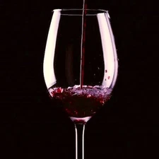 BLACK CHERRY MERLOT Fragrance Oil to craft Candles Soaps Lotions Bath products