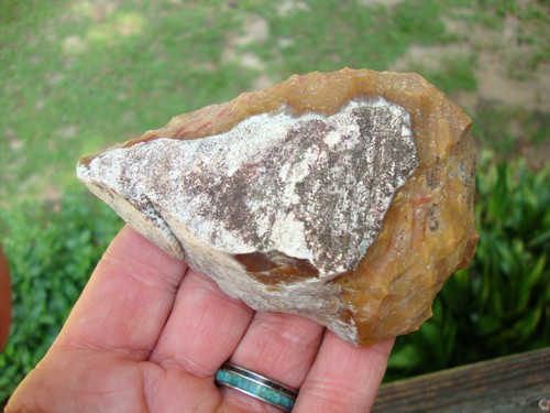Feiner 4" KORALLENSCHABER Georgia Florida Pfeilspitze ~86~