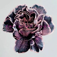 Slow Show - Still Life - Cd Album - G3Z
